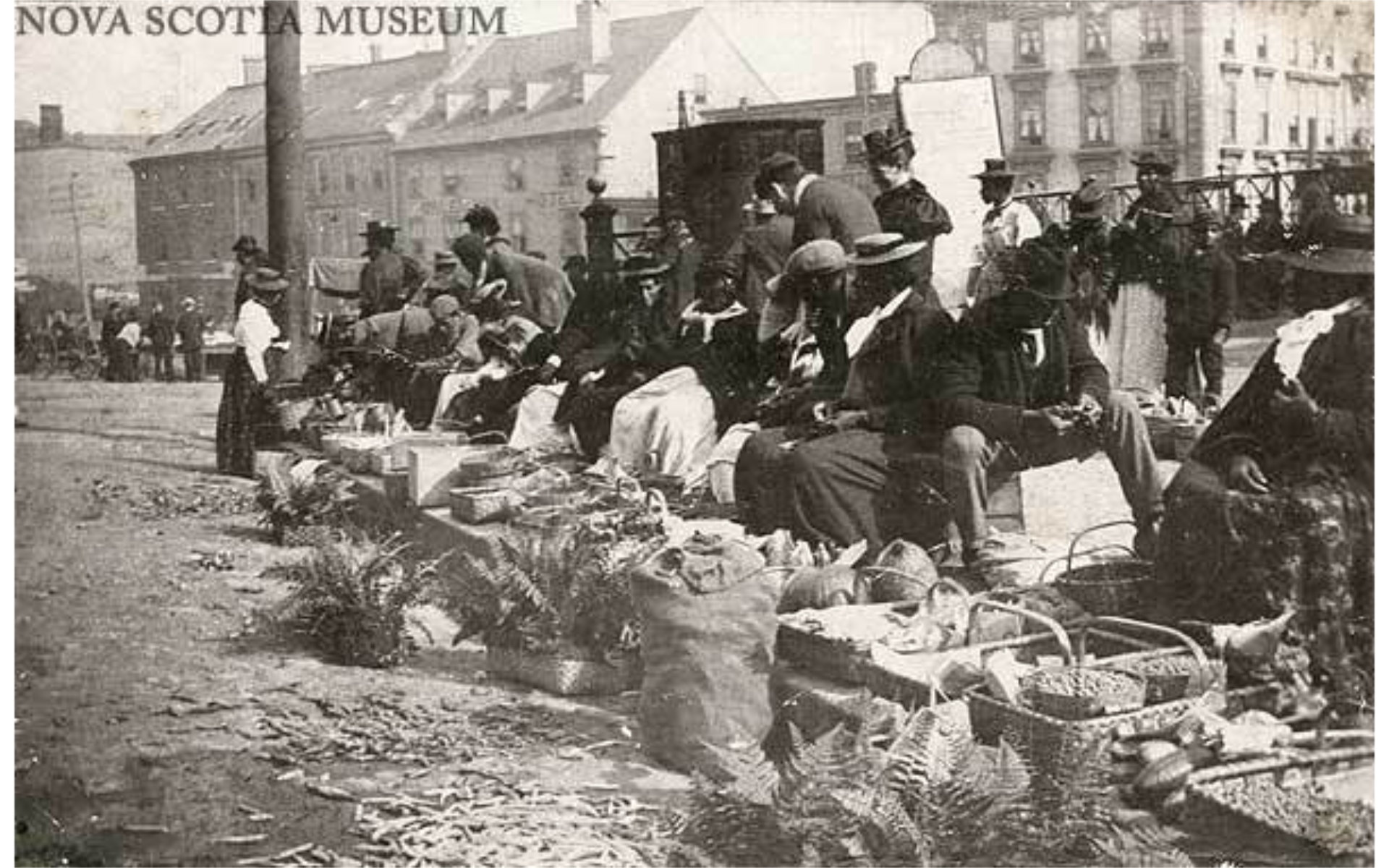 African-Nova Scotian market women vending baskets, ferns, and other plants at the Halifax City Market, around 1900